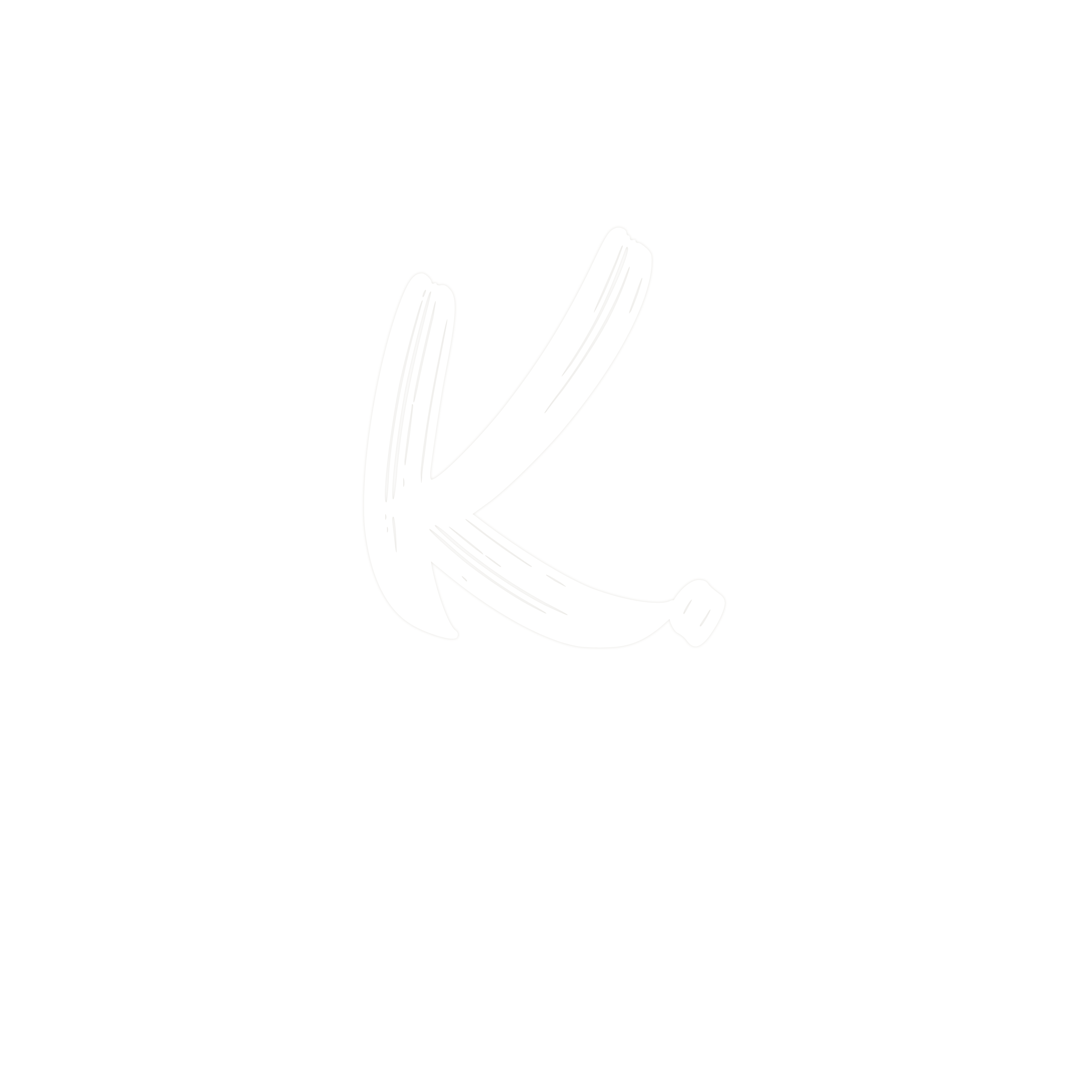 KÓRICA